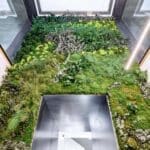 Mi Jardin Vertical - Preservado home