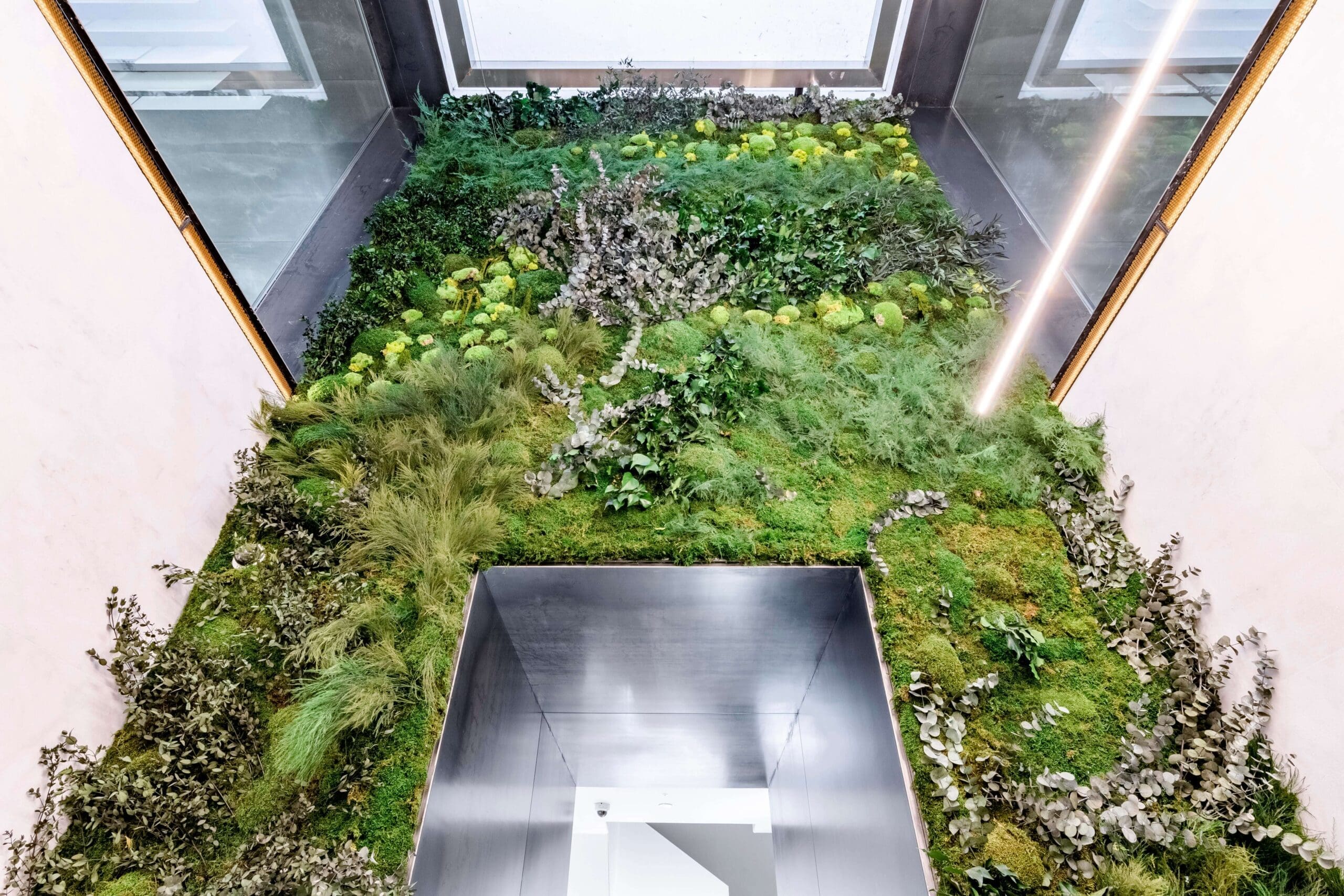 Mi Jardin Vertical - Preservado home