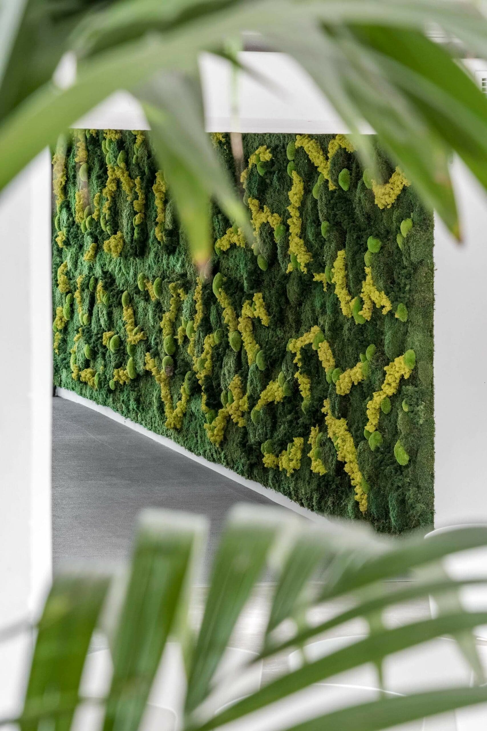Hall Caleydos - Mi Jardín Vertical